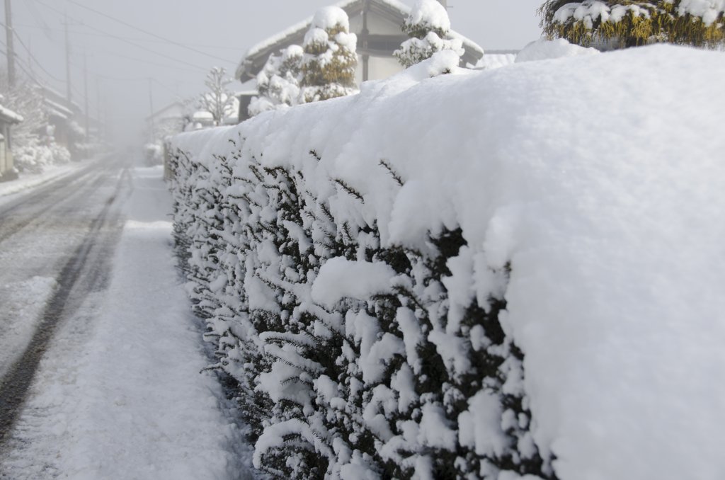 雪景色１０