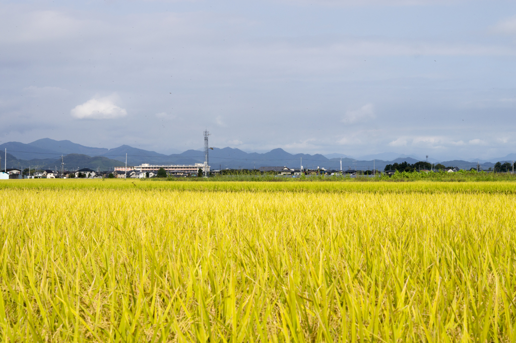 風景５