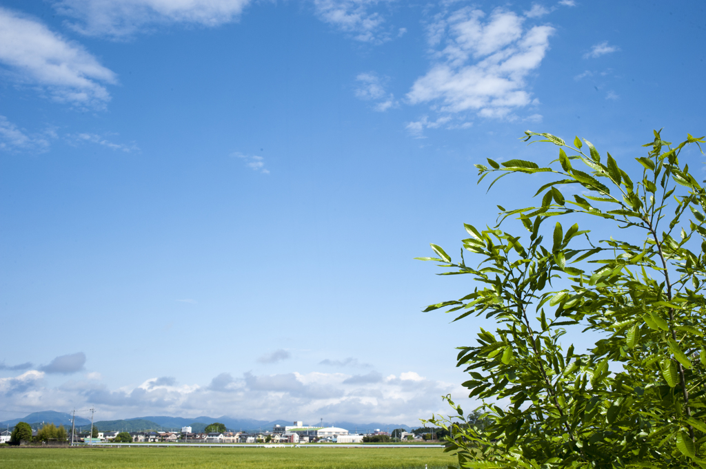 空８