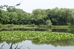 公園７