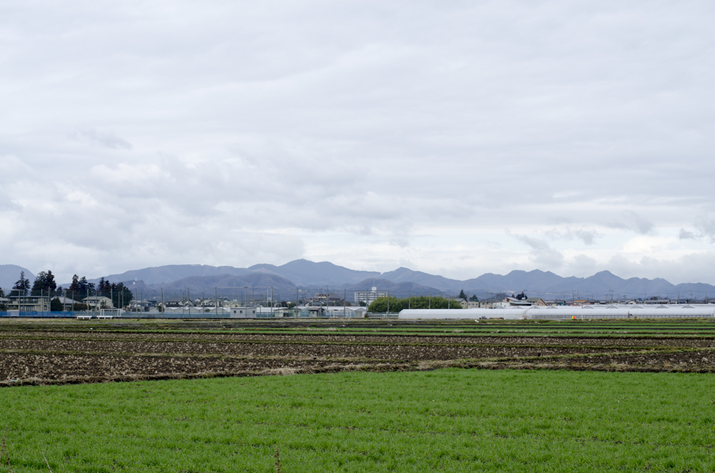 風景３