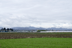 風景３