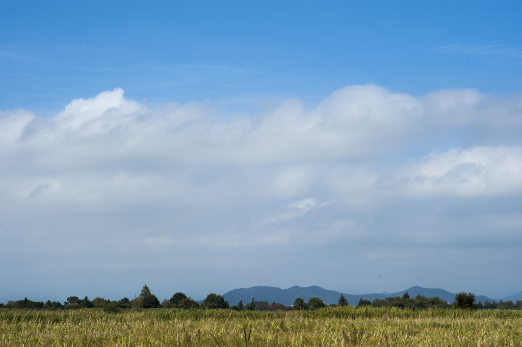 風景５