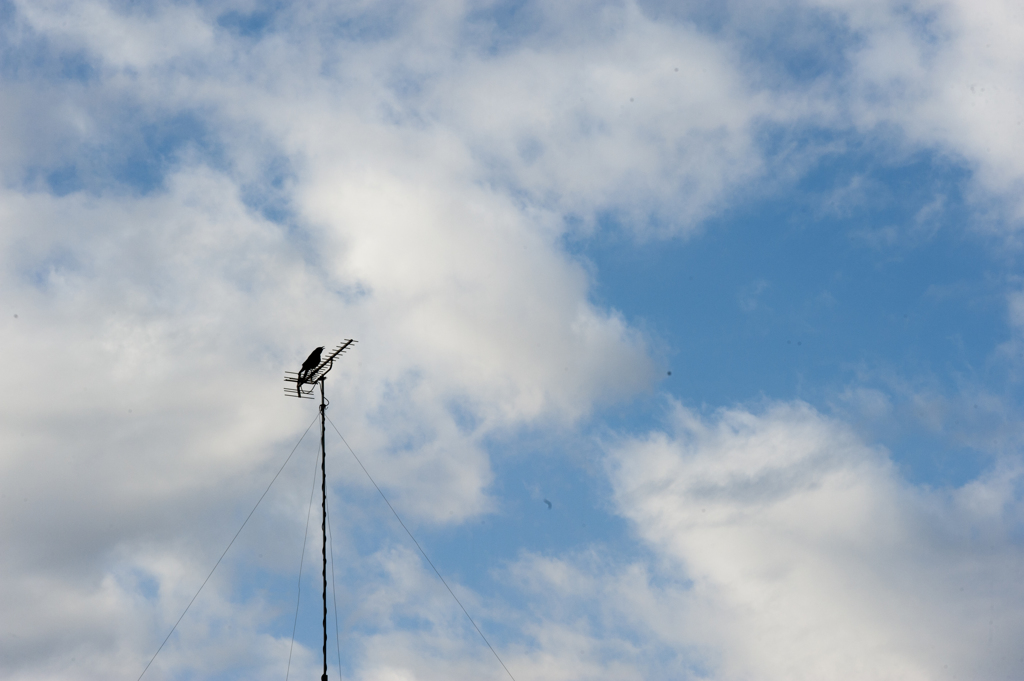 青空