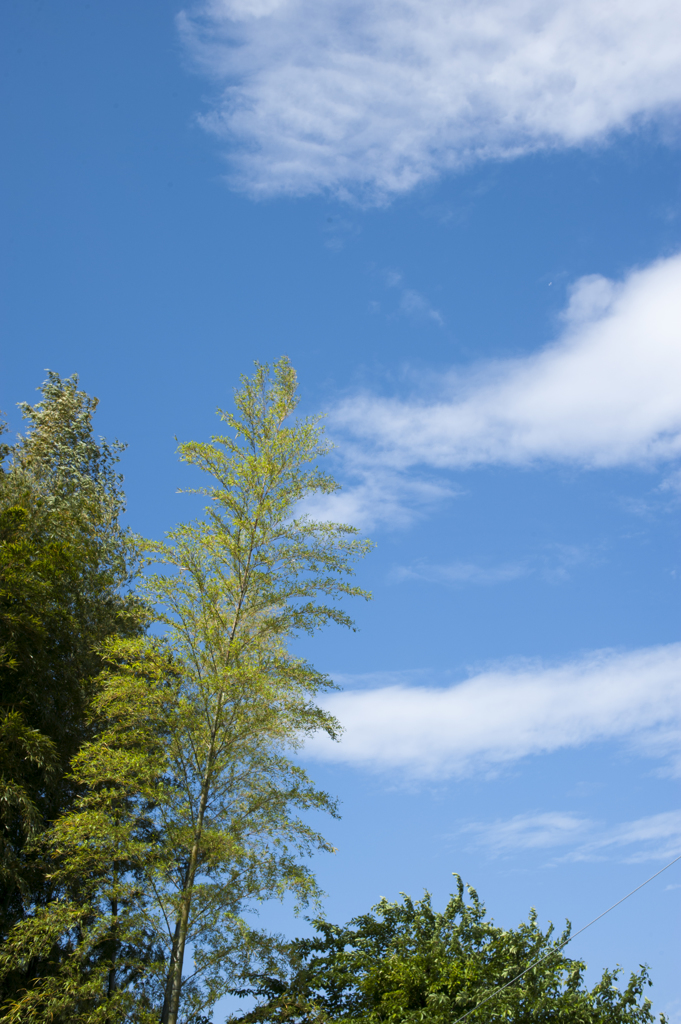空６