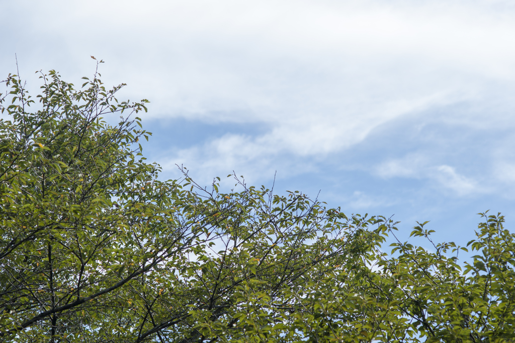 空１４