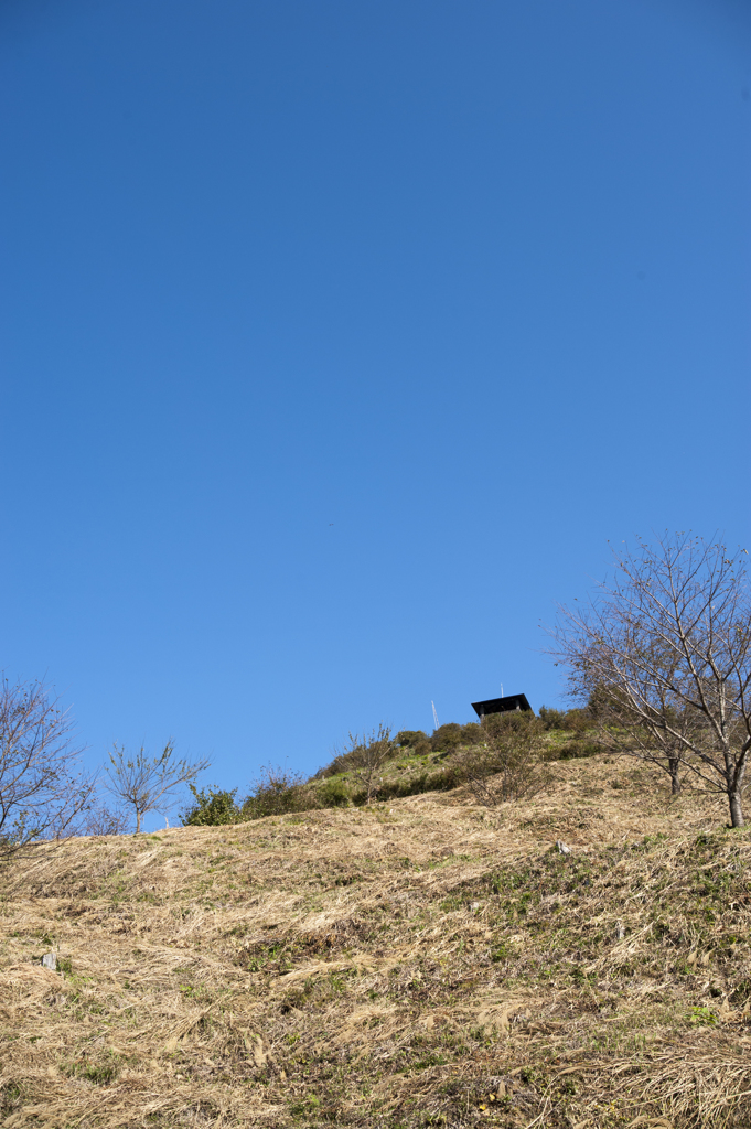 風景６