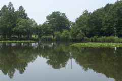 公園１