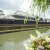 風景６