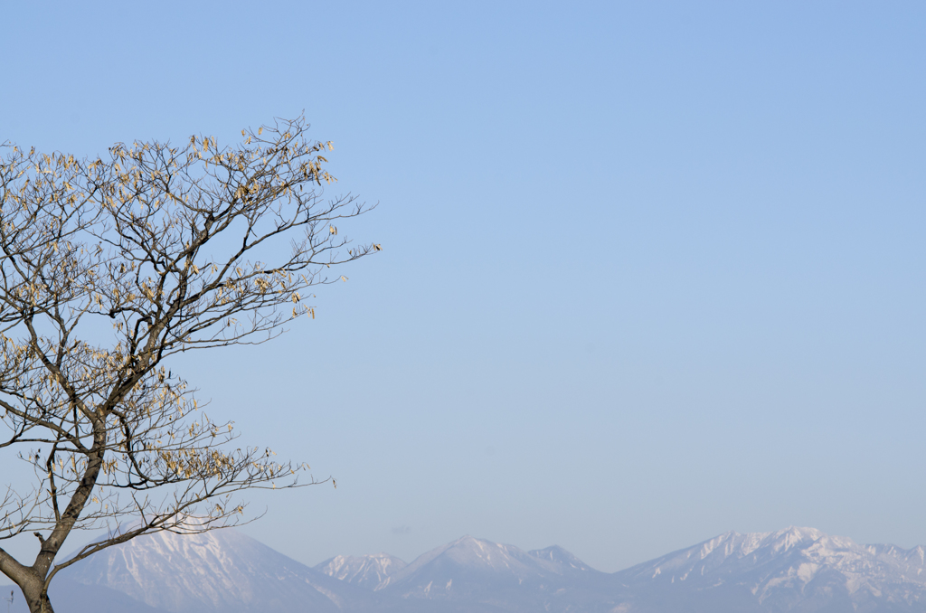 風景２