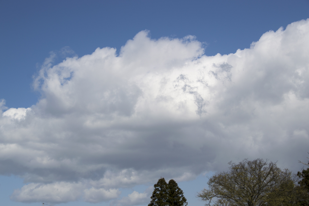 空２