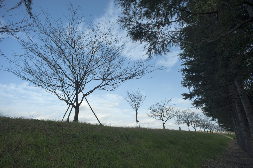 風景４