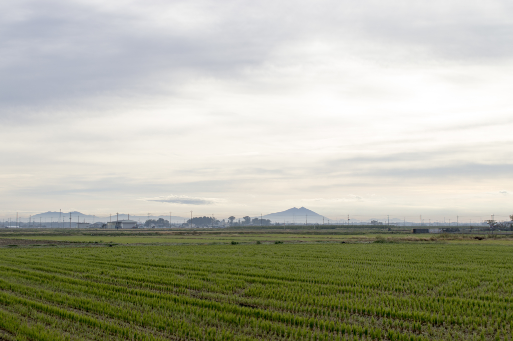 風景７
