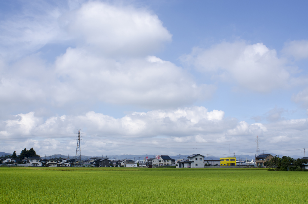 風景２