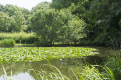 公園６