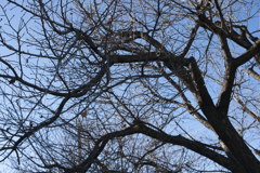 青空４