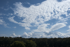 風景３