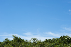 空３