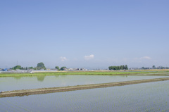田植え３