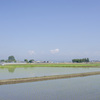 田植え３