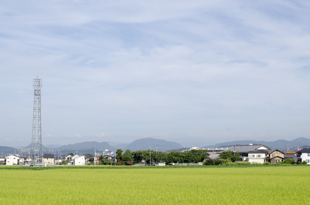風景１２