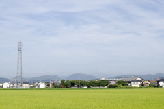 風景１２