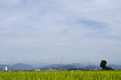 風景２
