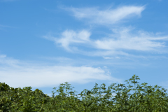 空２