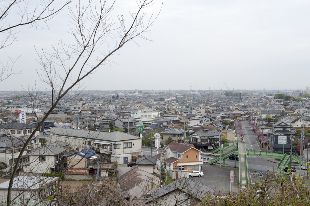 風景２