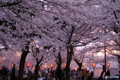 高田城址観桜会2019