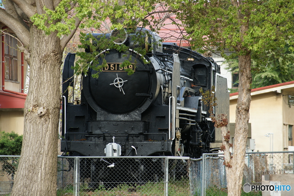 D51 549