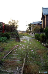 旧越後交通長岡線　大河津駅付近 2006