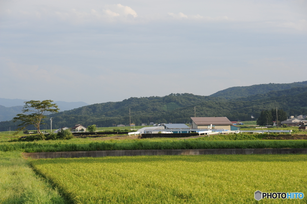 鮫ヶ尾城望遠