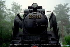 D51 769