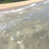 波打ち際で