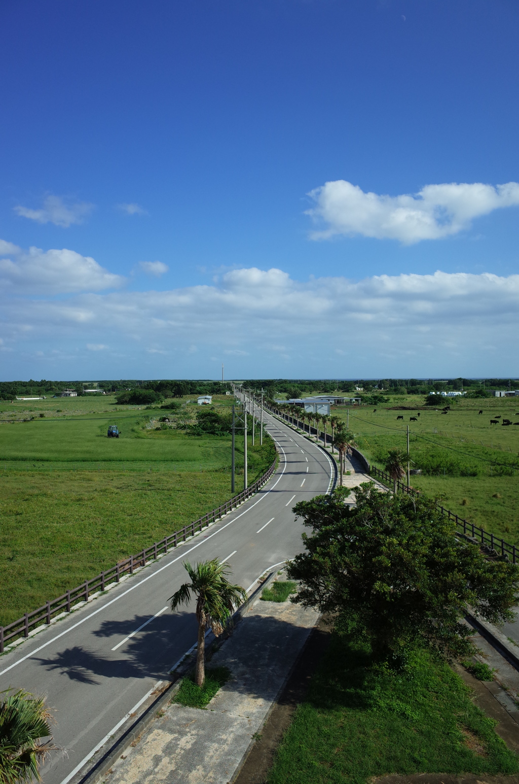 日本最南端の県道