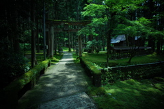緑の境内