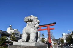 こまさんと青空