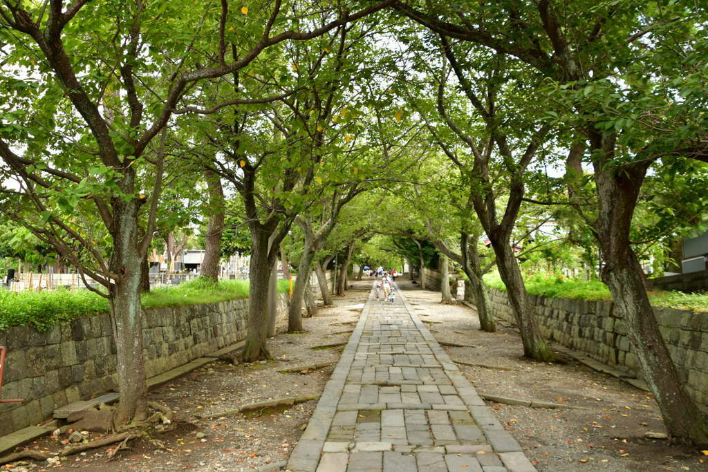 遊行寺