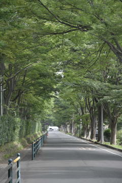 東レ前