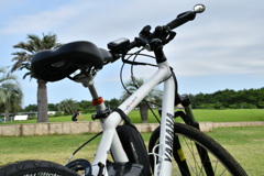 自転車＠海浜公園