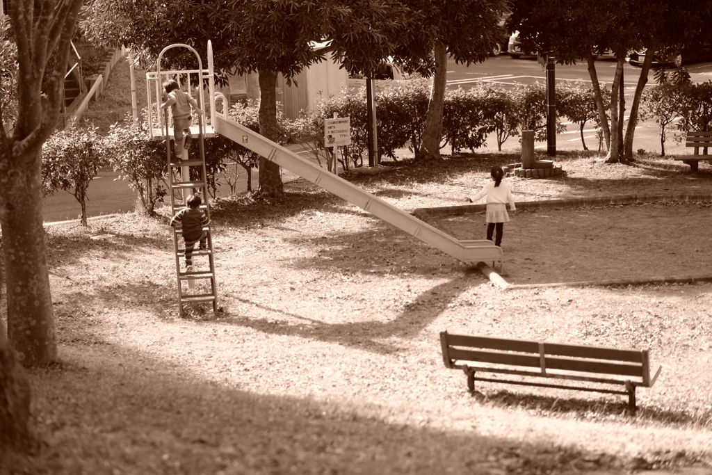 公園
