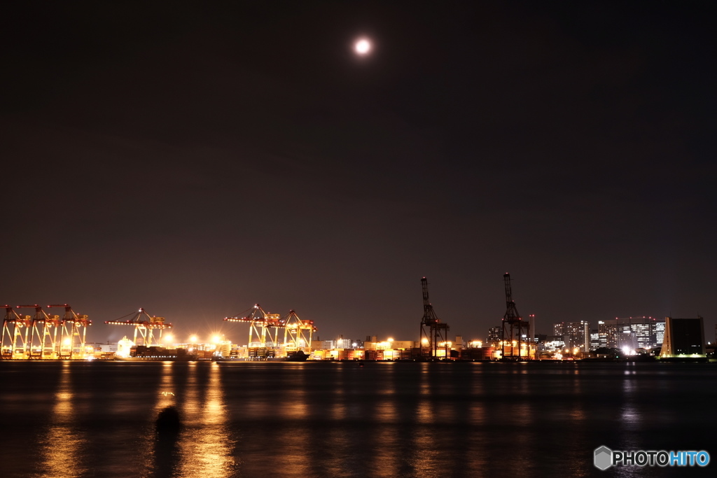 コンテナ夜景