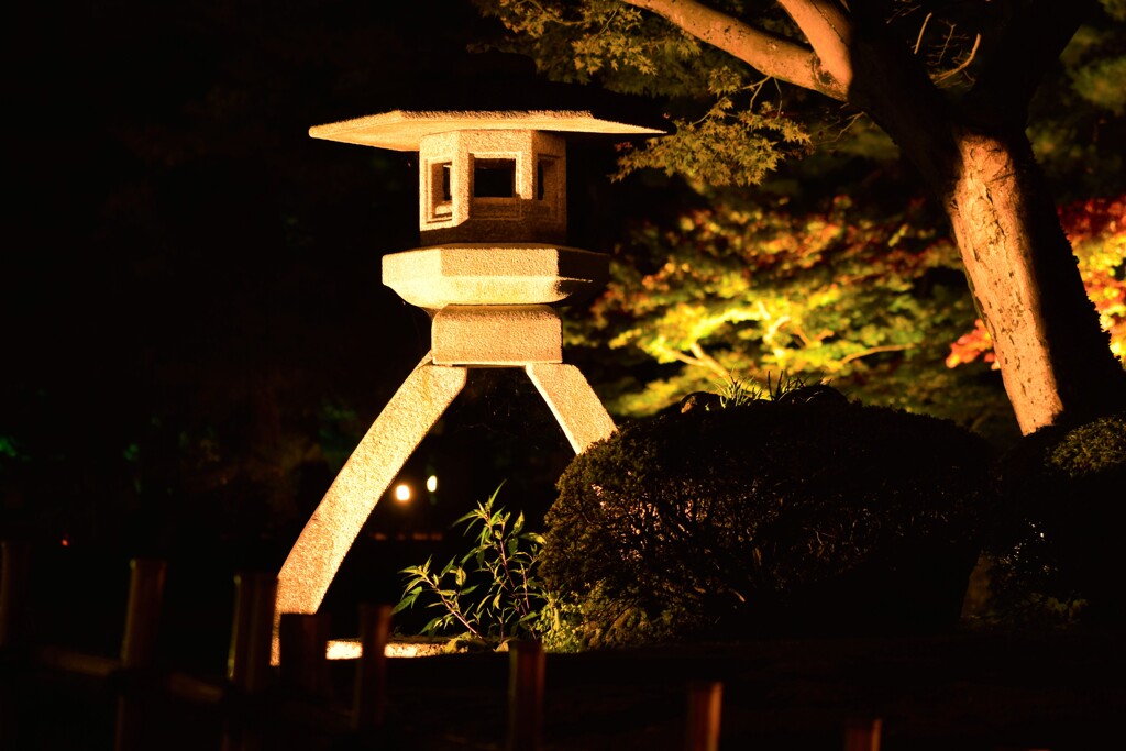 ライトアップ兼六園　徽軫灯籠