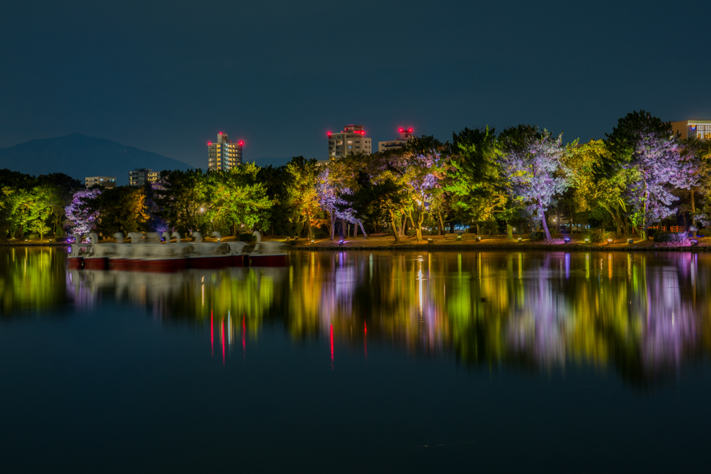 大濠公園夜景