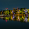 大濠公園夜景