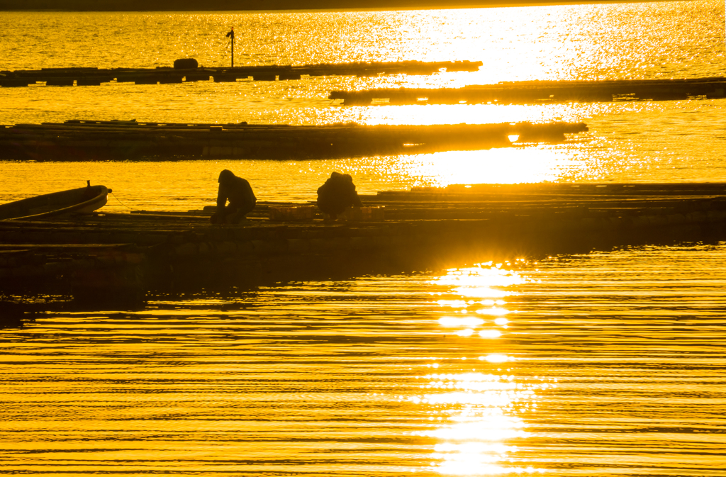 海辺の日常 夕景2