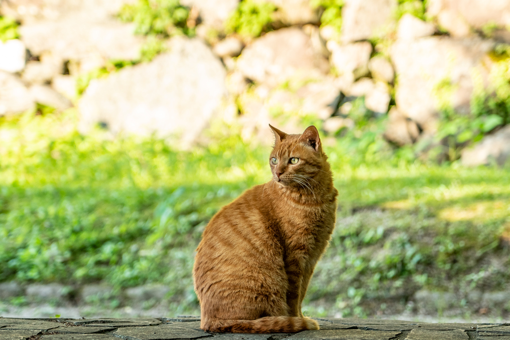 福岡城 門番