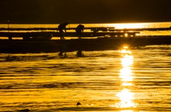 海辺の日常 夕景 3