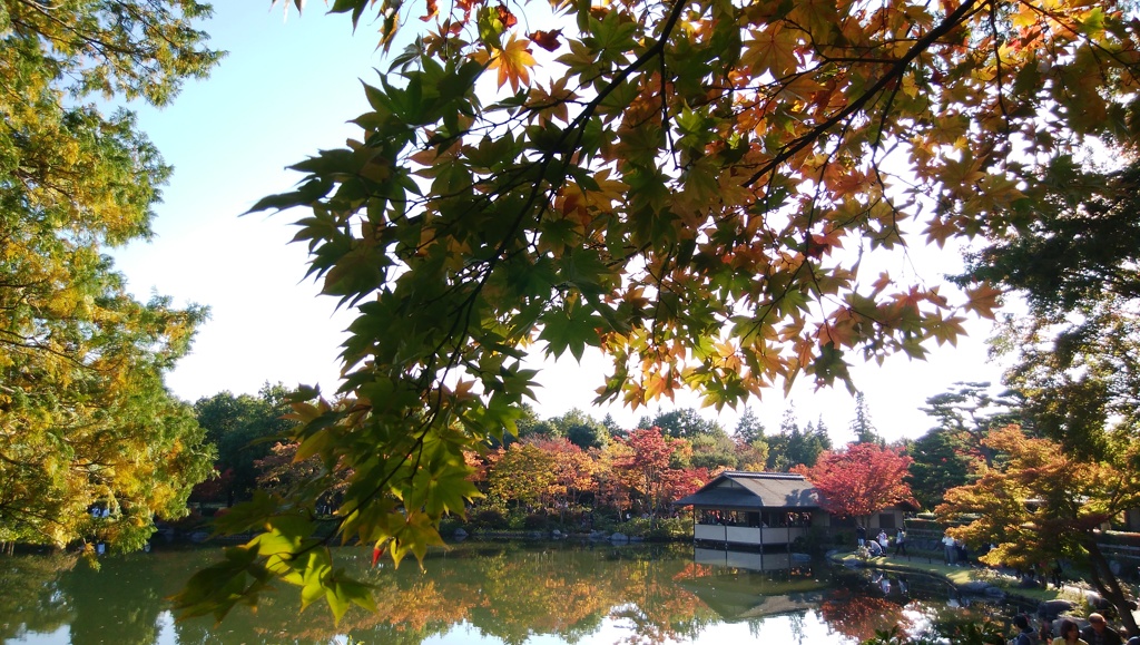 紅葉と池
